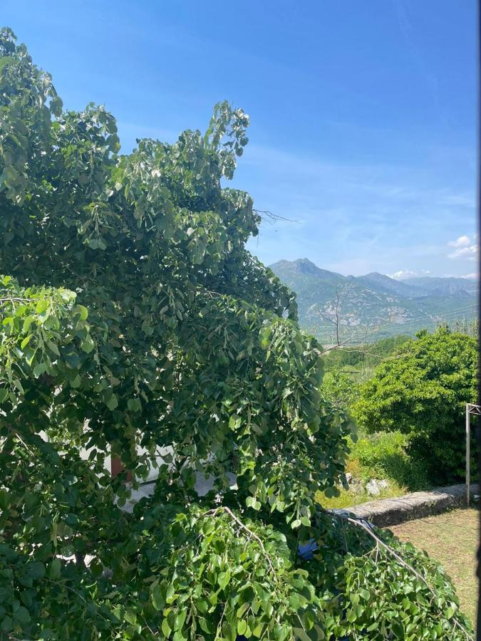 Dolce Notte Rooms Virpazar Dış mekan fotoğraf